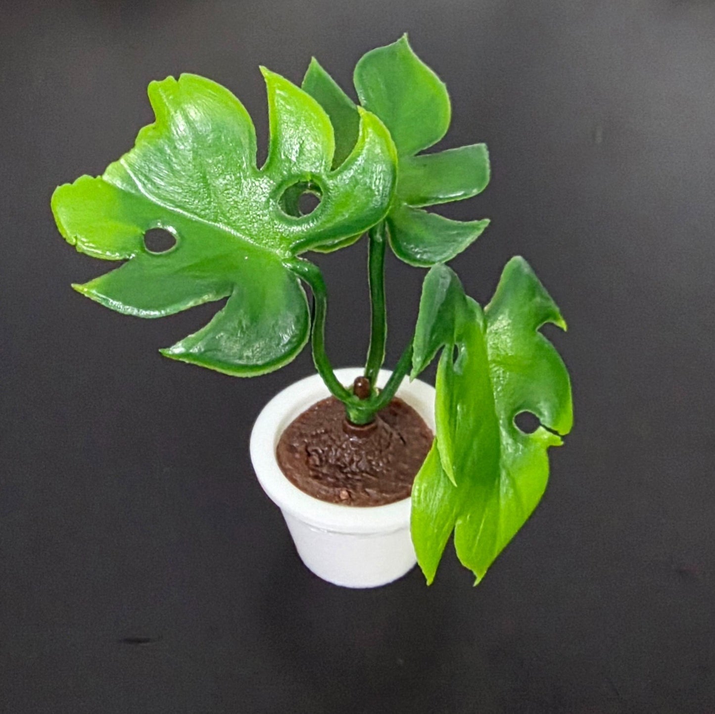 1:12 Scale Dolls House Miniature – Realistic Indoor/Outdoor Plant with White Pot
