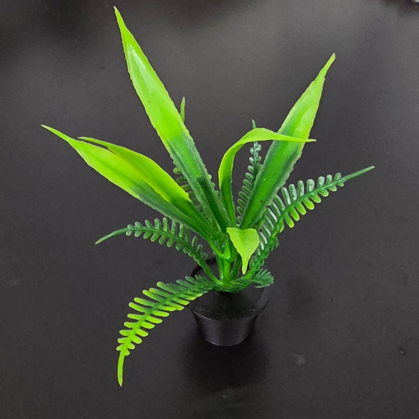 1:12 Scale Dolls House Miniature – Realistic Indoor/Outdoor Plant with Black Pot